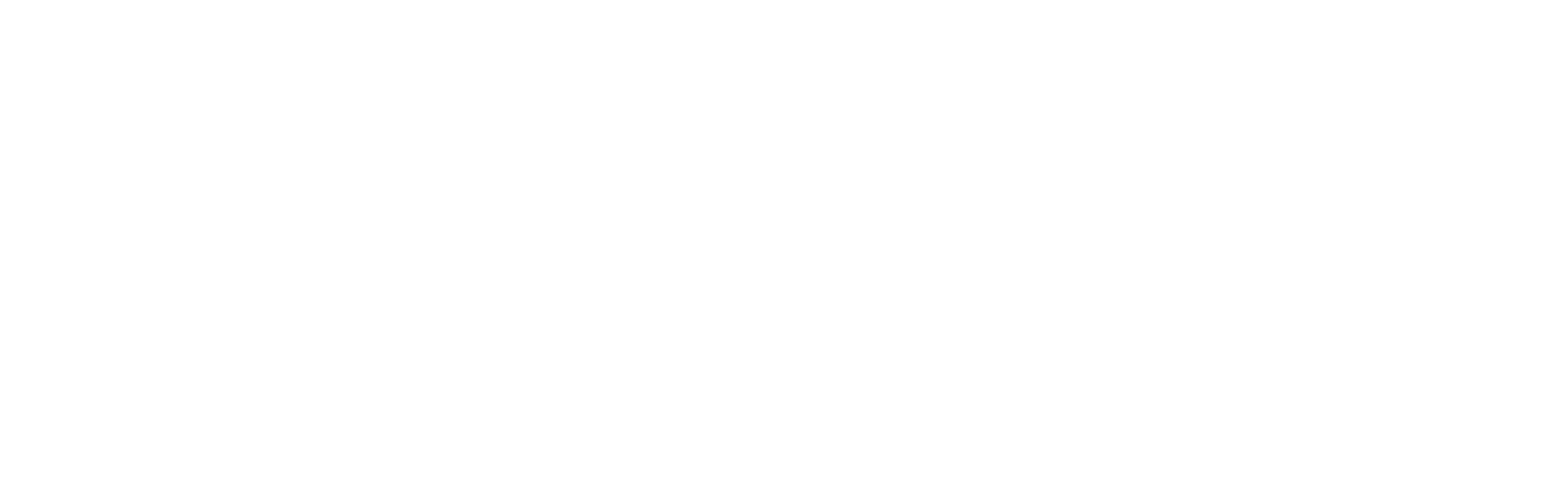 Paul Sudhakar VEERLA